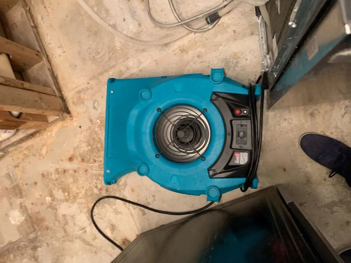 Air mover drying equipment for Mold Remediation & Removal in Millburn